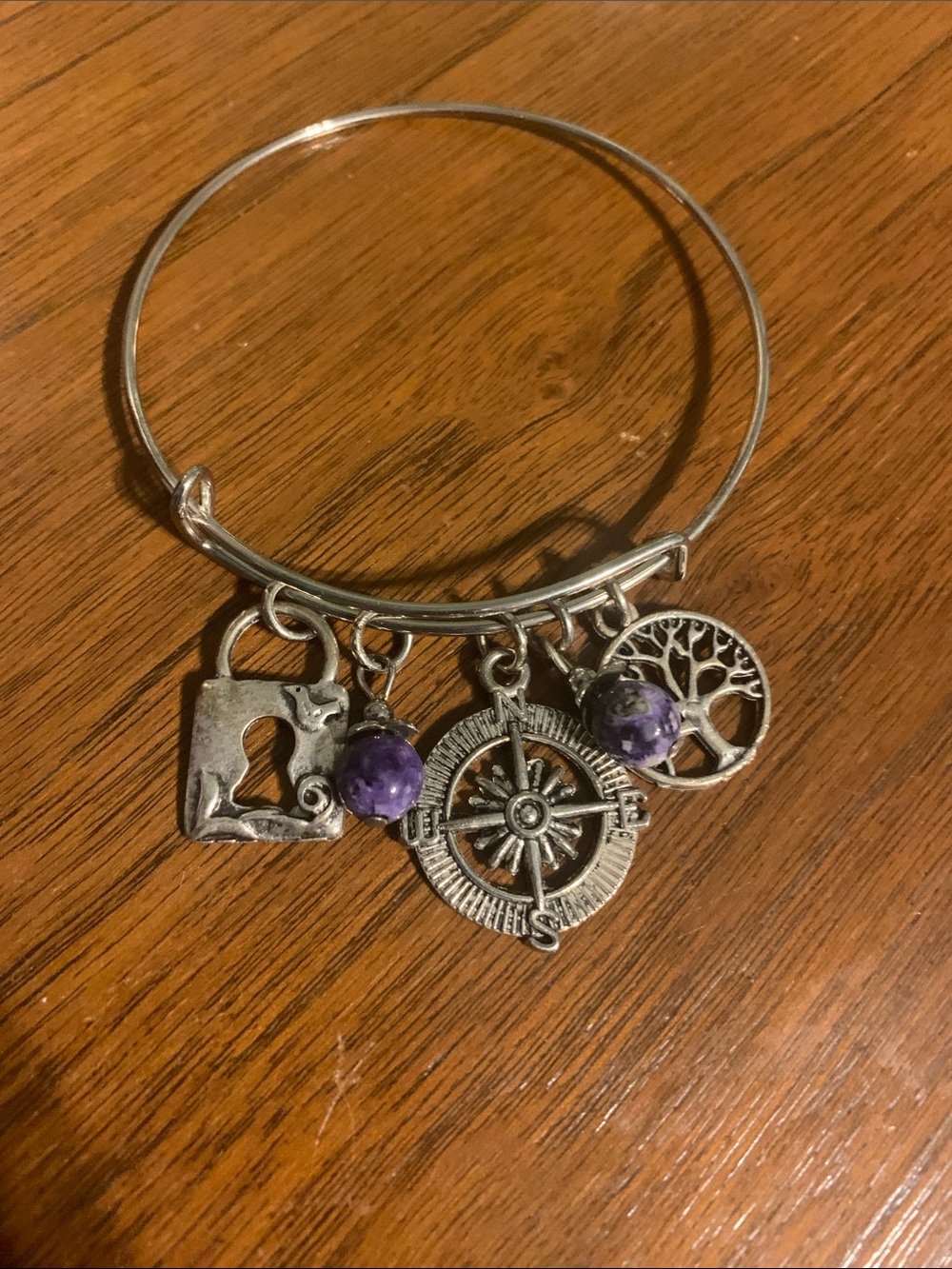 Silver-Tone Compass & Tree Charm Bangle with Purple Stone Accents